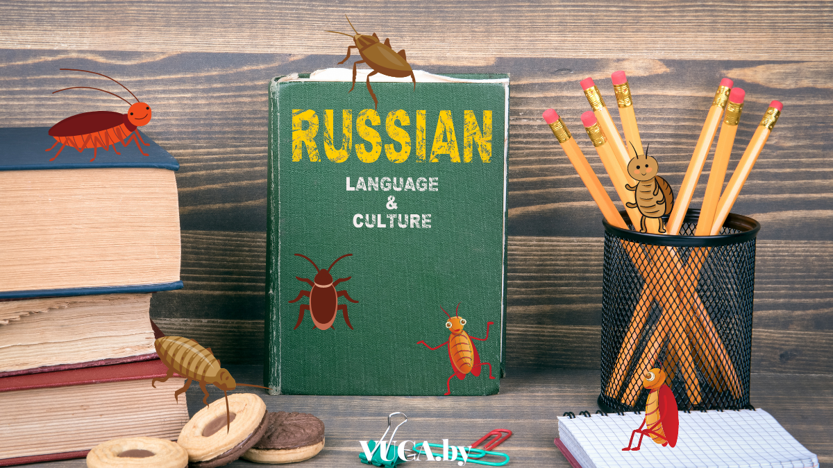 Русский язык тараканы - VUCA.by и VUCA Magazine